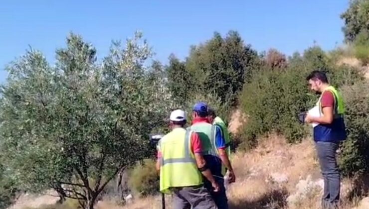 Akbelen Zeytinliklerinde Sayım Girişimi ve Hukuki Tartışmalar