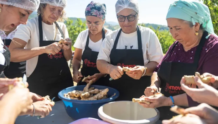 Bornova’da Köy Reçelleri Şenliği: Üreticiden İzmir’e Lezzet Yolculuğu