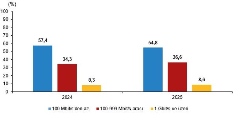 Girişimlerde Dijitalleşme Raporu: Türkiye’de Bilişim Teknolojileri Kullanımı 2025
