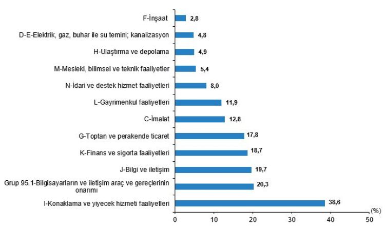 Girişimlerde Dijitalleşme Raporu: Türkiye’de Bilişim Teknolojileri Kullanımı 2025