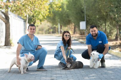 İzmir Bayraklı’da Köpeklere yönelik baskında 20 hayvan güvenliğe alındı