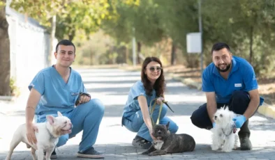 İzmir Bayraklı’da Köpeklere yönelik baskında 20 hayvan güvenliğe alındı