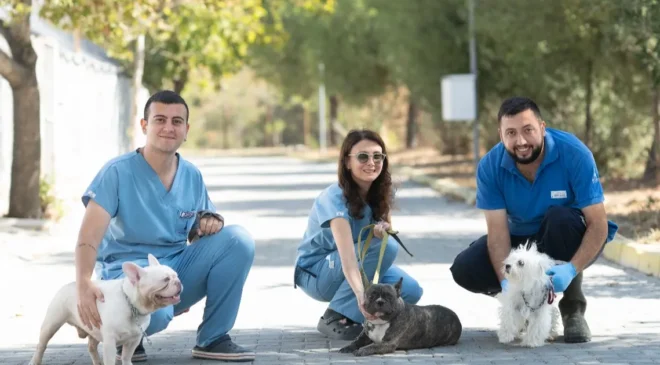 İzmir Bayraklı’da Köpeklere yönelik baskında 20 hayvan güvenliğe alındı