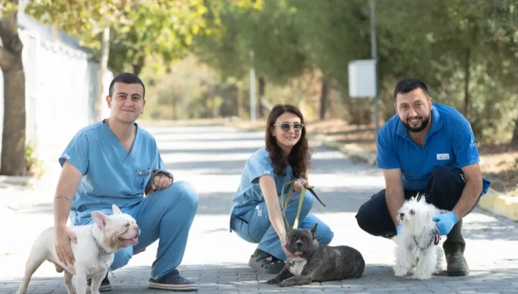 İzmir Bayraklı’da Köpeklere yönelik baskında 20 hayvan güvenliğe alındı