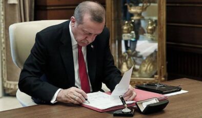 Kamu Görevlileri Atama ve Görevden Alma Kararlarının Özeti