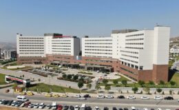 Kamu-Özel İşbirliği Şehir Hastaneleri ve Köprü-Otoyol Özelleştirme Tartışmaları